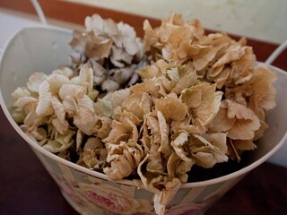 Château Rocca Grimalda  35