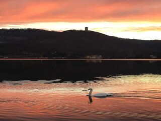 Schloss Rocca Grimalda Umgebung 34