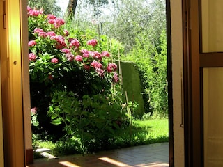 Ferienhaus Moneglia Außenaufnahme 11