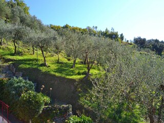 Casa de vacaciones Moneglia Grabación al aire libre 9