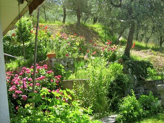 Vakantiehuis Moneglia Buitenaudio-opname 9