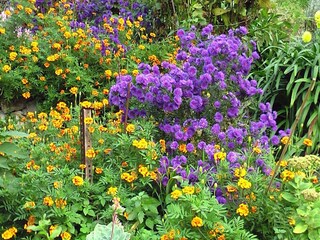 Vakantiehuis Moneglia  40