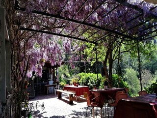 Bungalow Castiglione Chiavarese  37