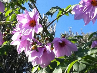 Apartamento Finale Ligure Entorno 47