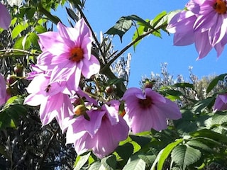 Appartement Finale Ligure Omgeving 36