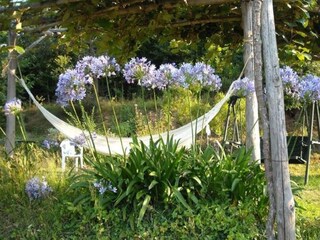 Maison de vacances Vezzi Portio  37