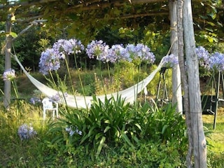 Vakantiehuis Vezzi Portio  37