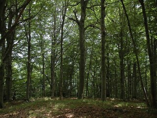 Maison de vacances Vezzi Portio Environnement 32