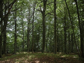 Vakantiehuis Vezzi Portio Omgeving 32