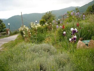Casa per le vacanze Vezzi Portio  38