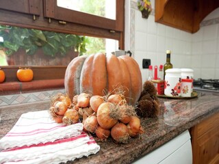 Ferienhaus Vezzi Portio  39