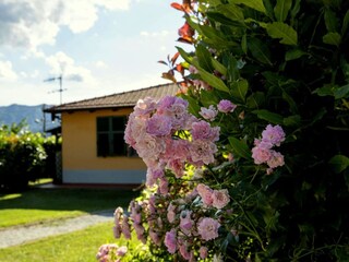 Casa de vacaciones Bolano  37