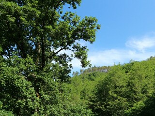 Holiday house Borghetto di Vara Environment 27