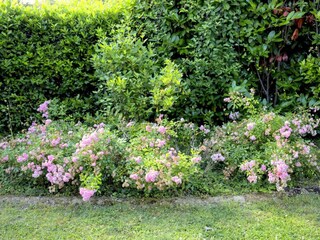 Holiday cottage Bolano Outdoor Recording 18