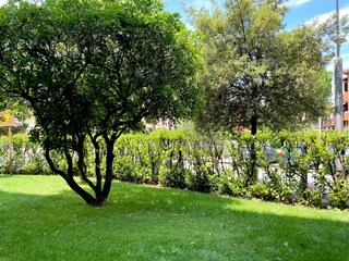 Apartamento Pozzolengo Grabación al aire libre 7