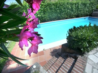 Villa Desenzano del Garda Grabación al aire libre 1