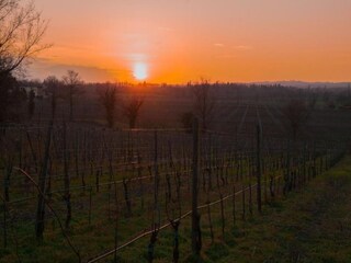 Villa Desenzano del Garda Environnement 39