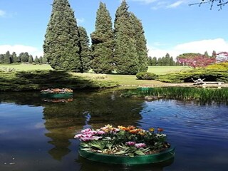 Apartamento Marone Entorno 31
