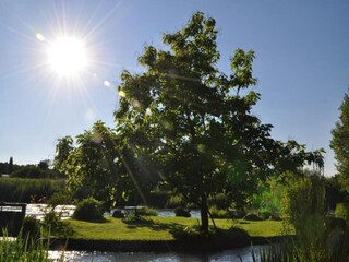 Appartamento Marone Ambiente 33