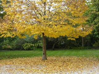 Appartement Marone Environnement 35
