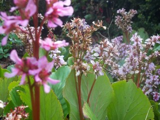 Apartamento Anfo  39