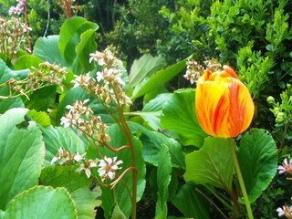 Apartamento Anfo  38