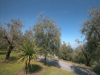 Vakantiehuis Soiano del Lago Buitenaudio-opname 14