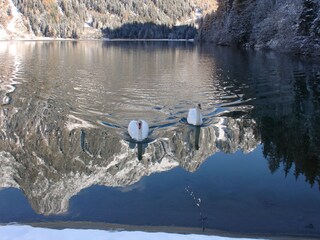 Appartamento per vacanze Antholz Registrazione all'aperto 6