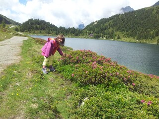 Appartamento per vacanze Antholz Ambiente 26