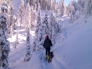 Appartamento per vacanze Antholz Ambiente 23