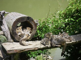 Appartamento per vacanze Antholz Ambiente 22