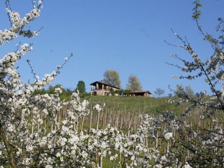 Villa Rovescala Buitenaudio-opname 6