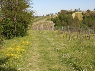 Villa Rovescala Environnement 33