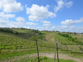 Villa Rovescala Omgeving 34