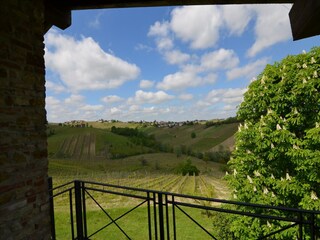 Villa Rovescala Outdoor Recording 2