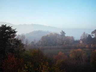 Type de propriété : Ferme Asolo Environnement 24