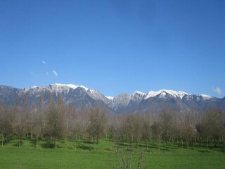 Type de propriété : Ferme Asolo Environnement 27