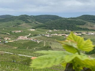 Type de propriété : Ferme Asolo Environnement 29