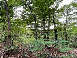Bauernhof Asolo Umgebung 31