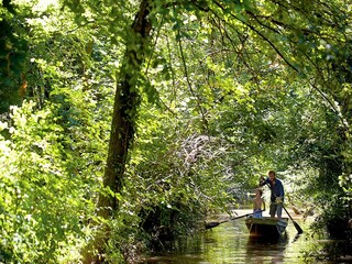 Castello Piombino Dese Registrazione all'aperto 3