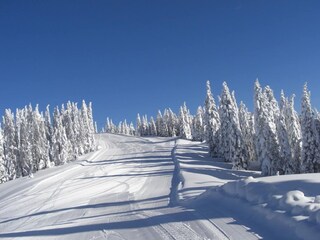 Ferienhaus Lusiana Umgebung 34