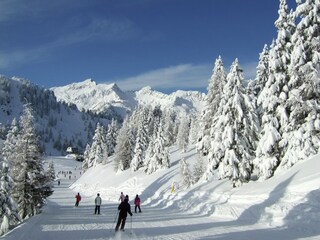 Apartamento Peio Entorno 34