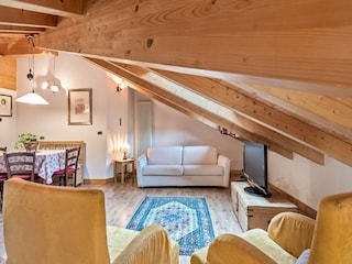 Apartment Brez Features 16