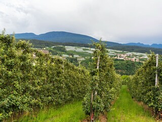 Appartamento Brez Ambiente 29