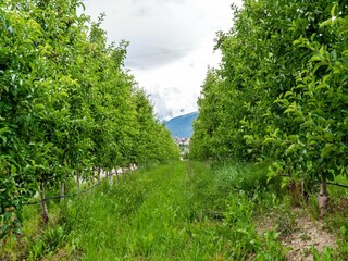 Appartamento Brez Registrazione all'aperto 5