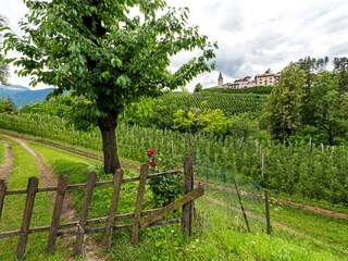 Appartamento Brez Ambiente 29