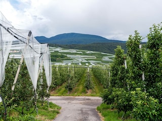Appartement Brez Environnement 30