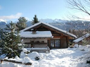 Appartement in een typische baita in de Dolomieten met sauna en turks stoombad - Predazzo - image1