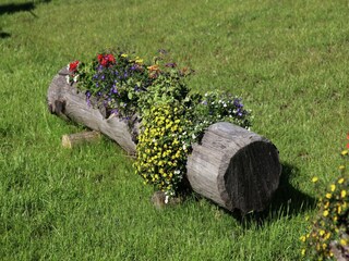 Appartamento Predazzo Registrazione all'aperto 3