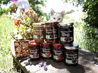 Appartamento Palazzuolo sul Senio  35